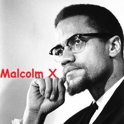 Altronovecento. Il capitalismo americano e i suoi critici