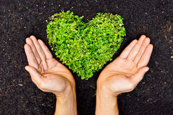 Progetto Orti di Lungacque