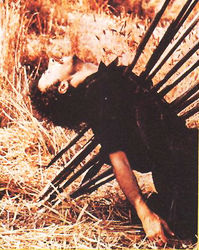 LA NOTTE DI SAN LORENZO