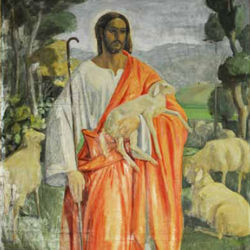 Con il velo nel mondo del disagio piacentino