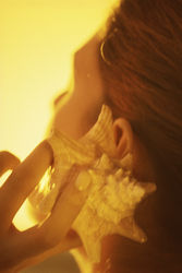 La forma del suono. Il suono della forma.