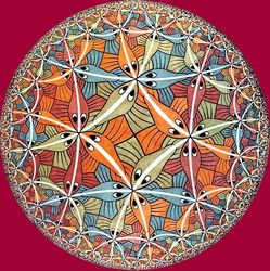 I principi di conservazione e le simmetrie nella storia della fisica