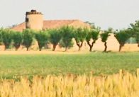 Unalleanza tra citt e campagna