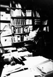 Studi Piacentini n 37