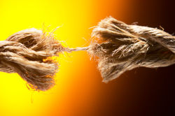 ALIA: i notai dalla parte dei pi deboli