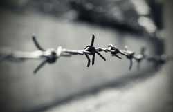 IL POTERE DELLA VERIT  NELLE TUE MANI - Ricordare per non dimenticare