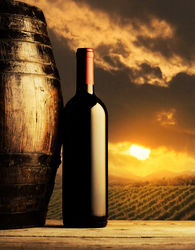 La cultura nel bicchiere. Il vino della nostra provincia, dai vigneti alla tavola