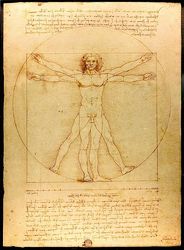 Homo sapiens, una storia al plurale - Le ultime scoperte sul cespuglio dellevoluzione umana