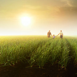 Volando sul futuro dellagricoltura