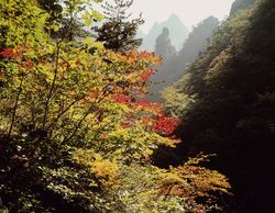 Beni comuni - Ugo Mattei