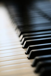 Salon Musical Liberty