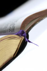 Presentazione del libro "Lager 7"