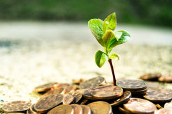 Come proteggere i nostri risparmi: gli investimenti da fare