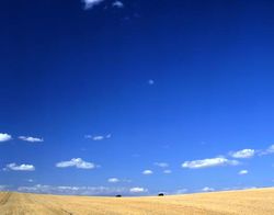 Narratori delle pianure - Gianni Celati