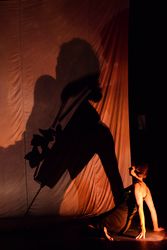 LOMBRA E IL SUO DOPPIO - Il corpo nel teatro dombre contemporaneo