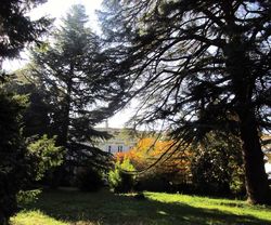 Il giardino di Villa San Bono - PontedellOlio (Pc)