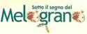Eventi, rassegne, iniziative
di creativit� femminile nell'arte