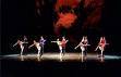 "Danza sotto le stelle"
Accademia di danza "Domenichino di Piacenza"