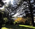 Il giardino di Villa San Bono - Pontedell’Olio (Pc)